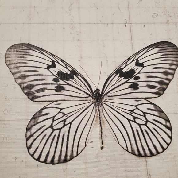 Rice Paper Butterfly 14-Inch Square Framed Canvas Wall Art - Picture 6 of 6